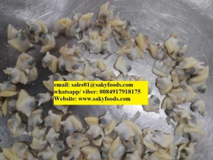 Vietnam Frozen cooked  yellow clam meat / cooked white clam meat / frozen clam- whatsapp-Kakaotalk-0084917918175
