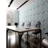 wallpapers/wall coating