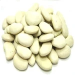 White Butter Beans - Best Quality and Price