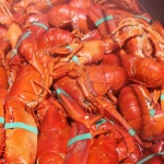Whole round lobsters