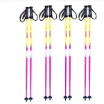 Wholesale GOBLIN New Arrival Carbon Fiber Professional Ski Poles