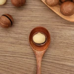 Wholesale High Quality Dry Roasted China Organic Macadamia Nuts Prices