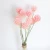Import Wholesale high quality single head preserved flowers Windmill fruit &amp; Combretocarpus for  home decoration from China