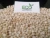 Import Wholesale Manufacturer of Fresh and Healthy White Sorghum Seeds at Good Price from India