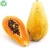 Wholesale Market price IQF Frozen diced papaya chunks competitive price