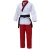 Import Wholesale Martial arts cheap price Taekwondo uniforms from Pakistan