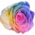 Import Wholesale Natural Preserved rose flower 3-4cm gift flower for mother&#x27;s Day and valentine&#x27;s Day from China