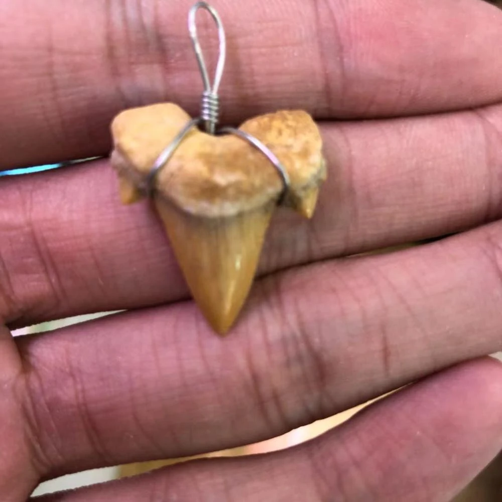 Wholesale Natural Shark Teeth Fossil Stone Power Pendant For Gift ,Shark tooth necklace to ward off bad luck.