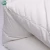 Import Wholesale Super Soft Luxury White Goose Down Comforter Duvet Inner from China