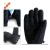 Import Winter warm snow skiing snowboarding snowmobile ski gloves for women from China