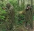 Import Woodland Camouflage Ghillie Poncho for Hunting Wargames or Other Outdoor Activities from China