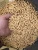 XGJ560 1-1.5t/h 90kw rice husk sawdust grass straw biomass pellet maker with CE certificate on sale