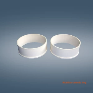 Alumina Ceramic ring