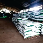 Granular Organic Fertilizer