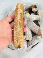 Sea cucumber