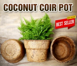 Coir Pot - Coconut Fiber Pot