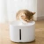 Import pet water fountain from China