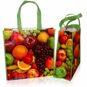 Reusable Grocery Shopping Bags