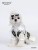 Import Camellia Japonica pet clothes from China