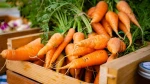 Fresh Carrot