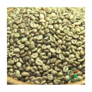 VietNam Coffee Beans Arabica Quang Tri Specialty Green Beans Flavorsome And Aromatic From Vietnam