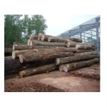 High Quality Ekki Logs Wholesale Fast Delivery Lumber Supply