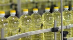 Quality Pure Sunflower Oil for Cooking in Best Price