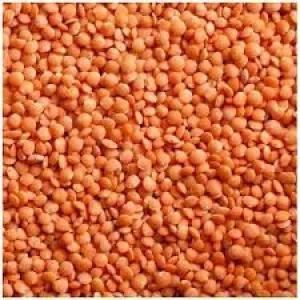 Quality Red Lentils Available now