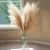 Import 100cm/ 40 Inch Large Artificial Pampas Grass from Pakistan