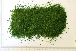 IQF Coriander 1-6mm