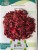 Import Dried Hibiscus Flowers from Egypt