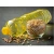 Import High Quality 100% Pure Organic Refined Soybean Oil European Origin Top Grade Bulk Sale for Frying from Tanzania