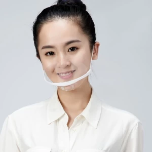 Factory wholesale Transparent Safety Plastic Clear PET Anti-Fog Nose Mouth Shield light weight Smile Face Mask