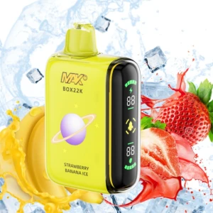Disposable Vape/E-Cigarette