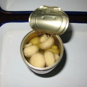 Small Canned Mushroom