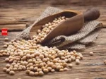 ANIMAL FEED 48% PROTEIN Soybean Meal /Quality Soyabeans Soy Beans Meal