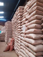 dried macadamia nuts that have been graded to international standards