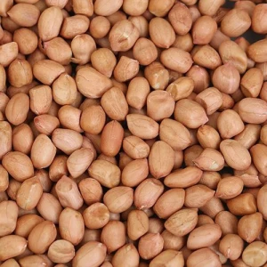 Organic Peanut Kernel Groundnut Grade A