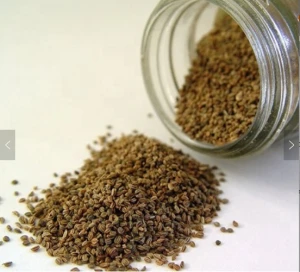 Top Quality Dill Seeds Split Culinary Spice Manufacturer & Global Exporter Medicinal Single Herb & Spice