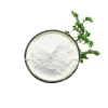Supplier Dimethyl Terephthalate DMT Powder/Crystal 99.9% Chemical CAS 120-61-6