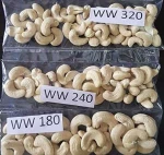 Processed cashew nuts w210,w240,w320, Raw cashew nuts for sale