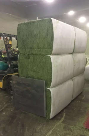 High Quality Alfalfa Hay and Timothy Hay