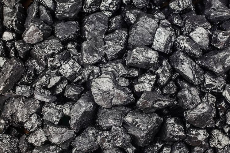 Buy Coal Gar 5000-60000 from PT. Rimau Group, Indonesia | Tradewheel.com