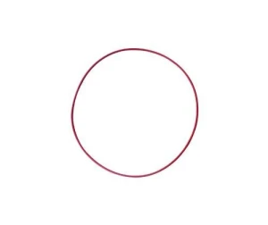 Silicone Rubber Seal Ring