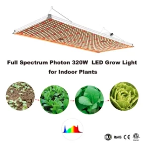 Zero Complaint New Design Competitive Photon Board P320 320W LED Grow Panel for Indoors Growing