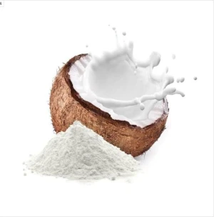 Factory Offer Organic Coconut Milk Powder