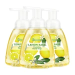 Hot Sale OEM Designed Foaming Hand Soap Factory Hand Wash
