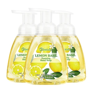 Hot Sale OEM Designed Foaming Hand Soap Factory Hand Wash