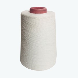 polyester spun yarn 30S/1 - psy30