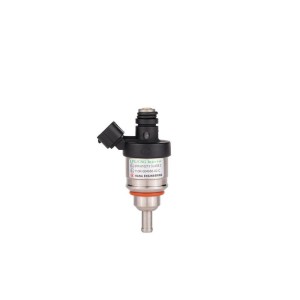LPG CNG injector for passenger car (H2000)